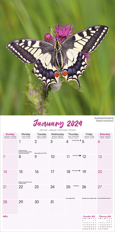 Kalendár 2024 Motýle