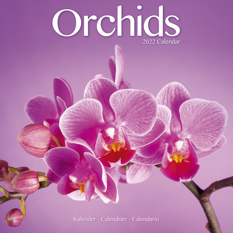 Kalendář 2022 Orchideje