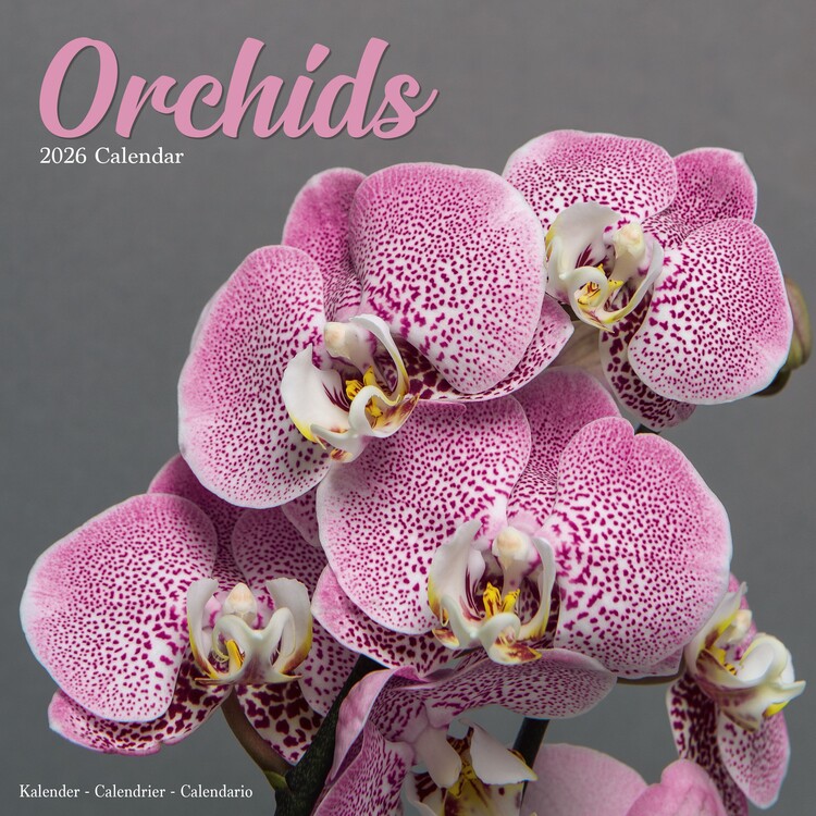 Kalendář 2026 Orchids