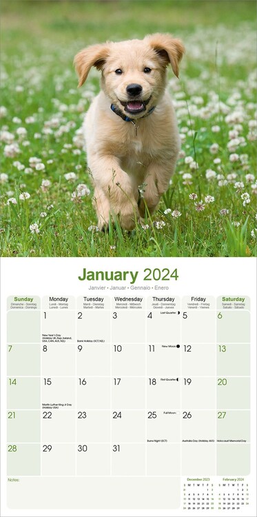 Kalendář 2024 Zlatý Retrívr