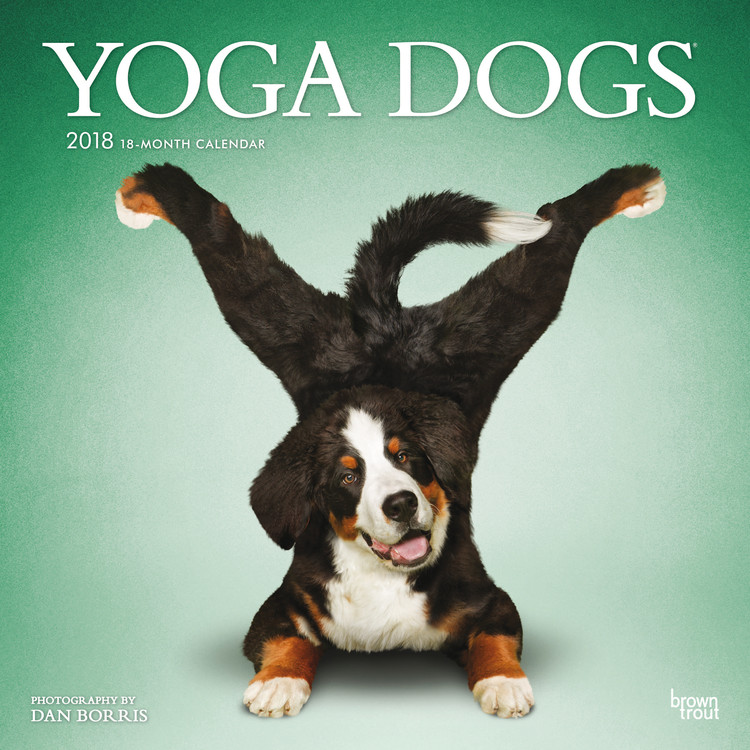 Yoga Dogs Kalendarz 2021 Kup na Posters.pl