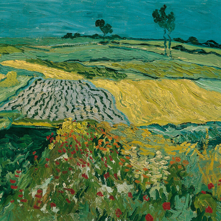 Vincent Van Gogh Colours Of The Provence Kalendarze Cienne 2024   Vincent Van Gogh Colours Of The Provence I170699 