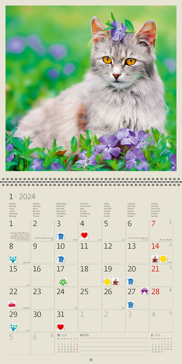 2024 Kitty Kalender, 2024 Väggkalender, Kattkalender, 2024 Väggplanerare  2024 f711, 2024