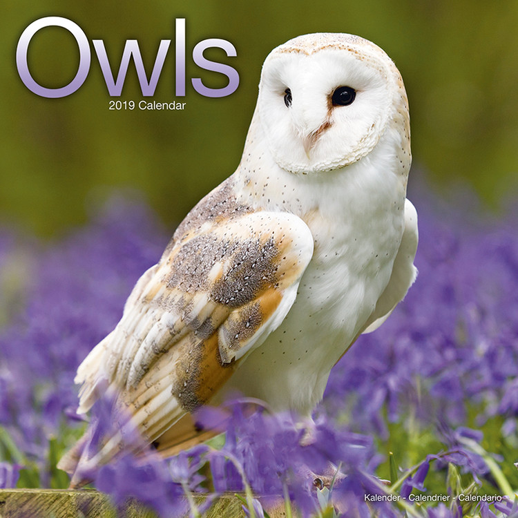 Owls Wandkalenders voor Koop bij Europosters