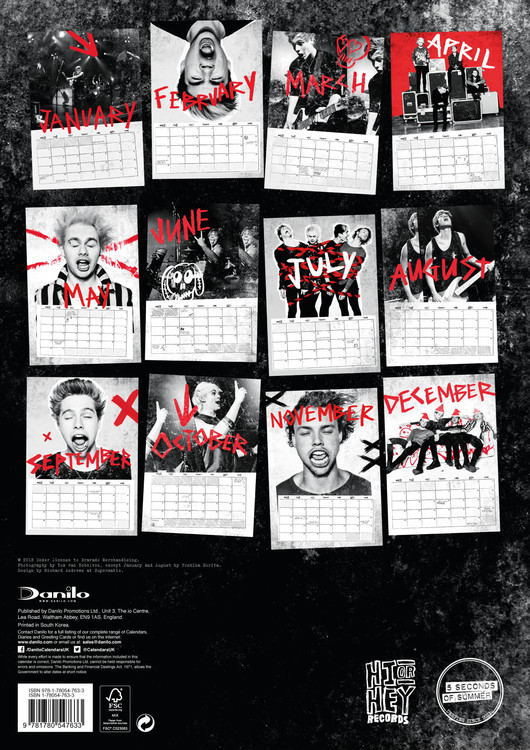 5 Seconds of Summer - Wandkalender 2016  Kaufen bei Europosters