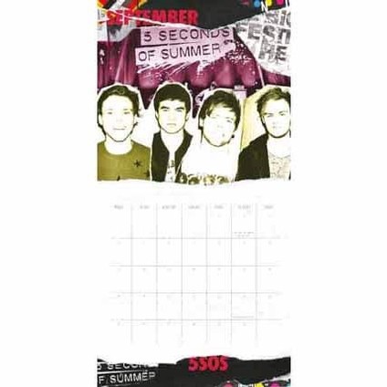 5 Seconds of Summer - Wandkalender 2017  Kaufen bei Europosters