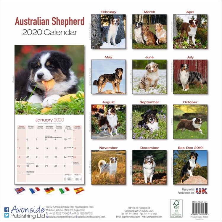  Kalender 2020 Australian Shepherd bei EuroPosters