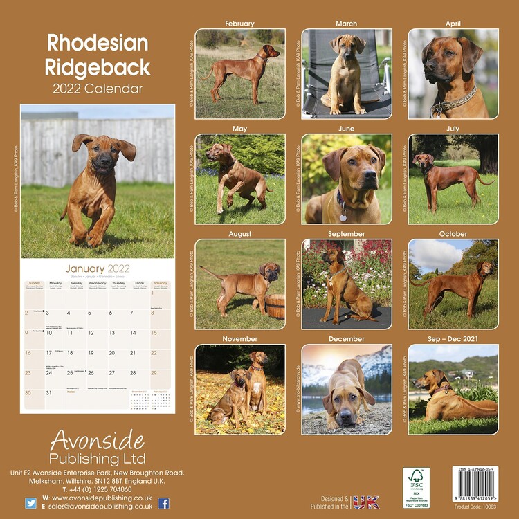 Kalender 2022 Rhodesian Ridgeback