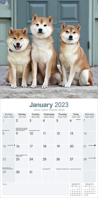 Kalender 2024 Shiba Inu