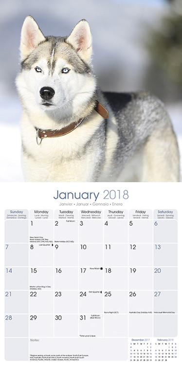 Siberian Husky - Wandkalender 2018  Kaufen bei Europosters