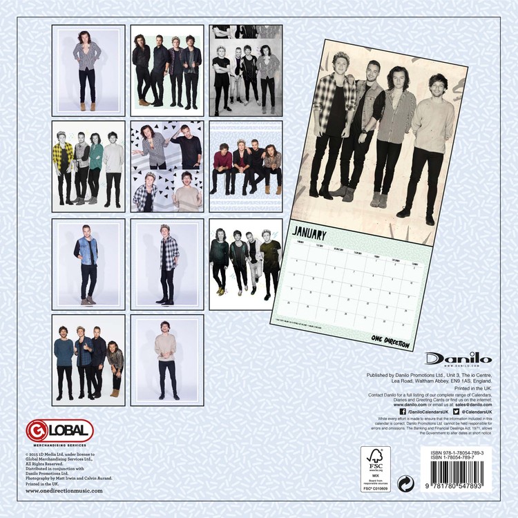 Matron Vereniging Kerel One Direction 1D - Wandkalenders voor 2016 | Koop bij Europosters