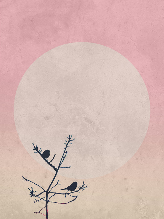 Kunstfotografier moonbird8