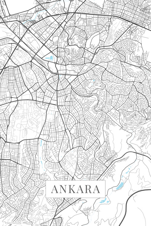 Billede på lærred Ankara white