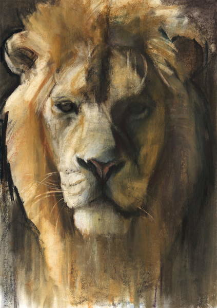 Billede på lærred Asiatic Lion, 2015,