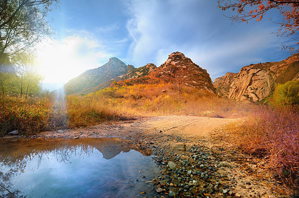 Billede på lærred Canyon, Autumn,