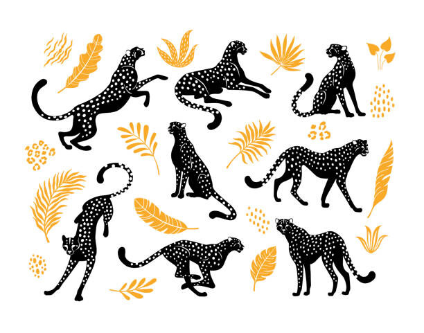Billede på lærred Cheetahs silhouettes collection.