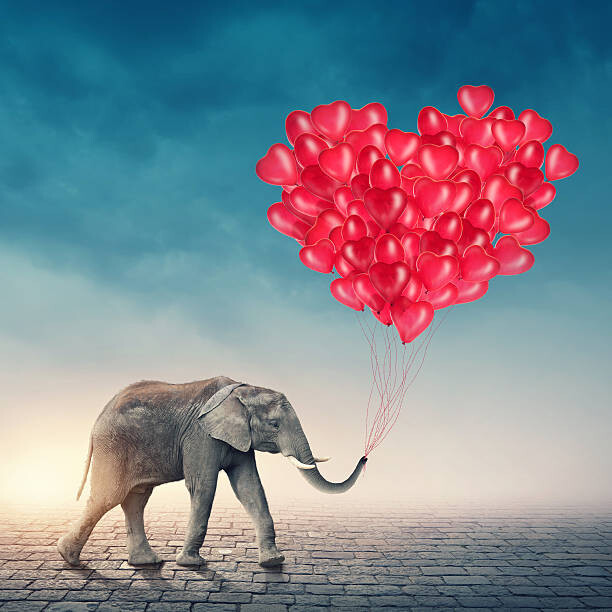 Billede på lærred Elephant with red balloons