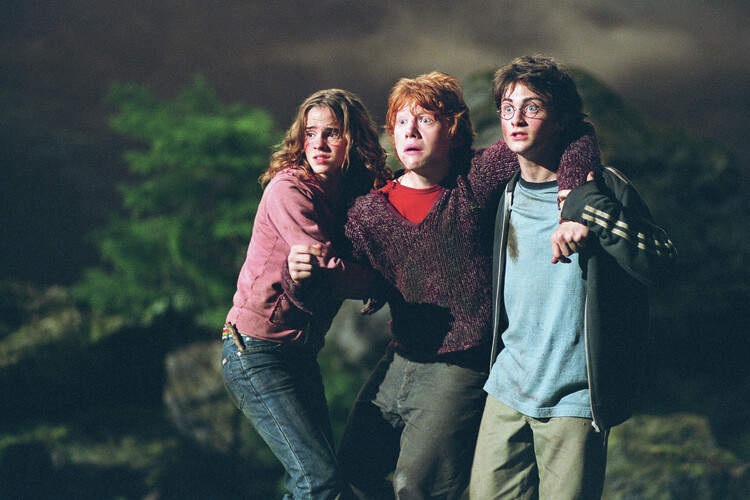 Billede på lærred Harry Potter - Stick together