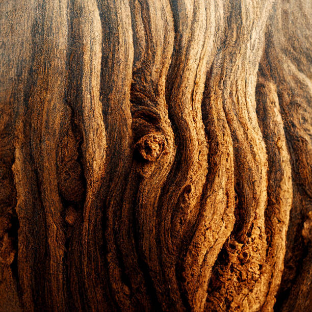 Billede på lærred Image Of Tree Bark Texture