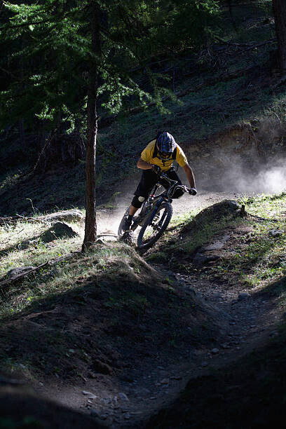 Billede på lærred Mountain biker on dirt path