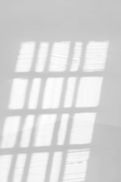 Billede på lærred Shadow on the wall from the