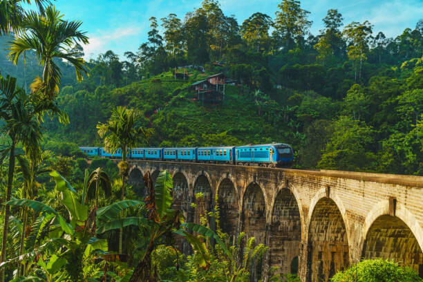 Billede på lærred Train passing over Nine Arch Bridge