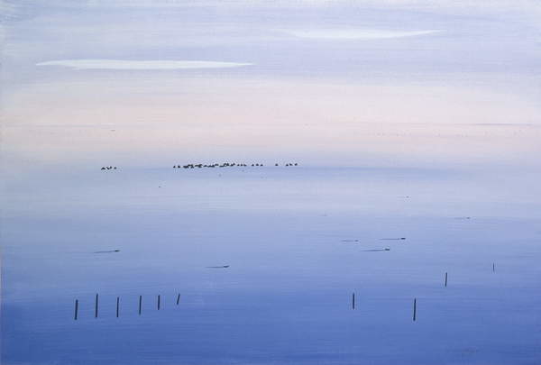 Samolepka Le Vaccares, 1987