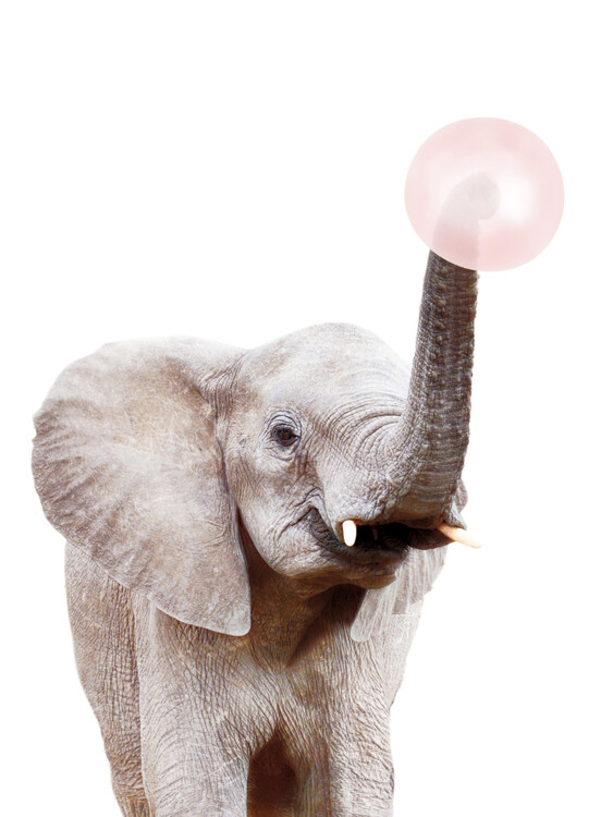Leinwand Poster Elephant with bubble gum