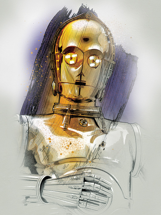 C3po Star fashion wars 40x50 Leinwandbild Led