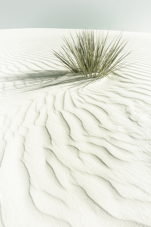 Leinwand Poster WHITE SANDS Vintage scenery