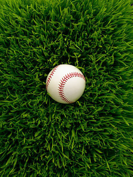 Bild auf Leinwand Baseball in grass