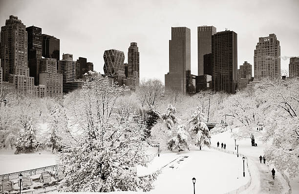 Bild auf Leinwand Central Park winter