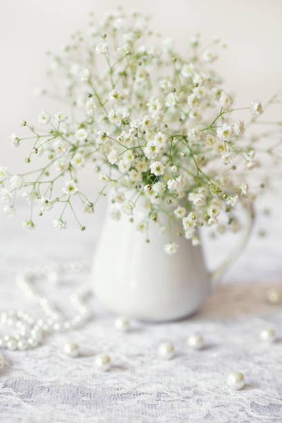 Bild auf Leinwand Delicate white