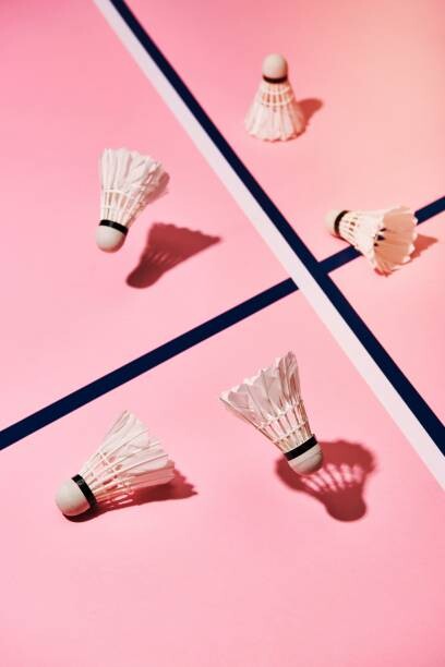 Bild auf Leinwand High angle view of shuttlecocks and