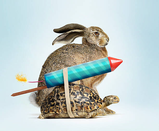 Bild auf Leinwand Tortoise and Hare
