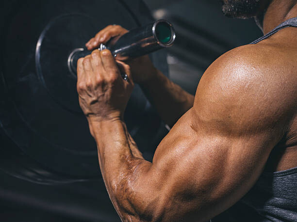 Bilde på lerret Bodybuilder preparing a barbell on a