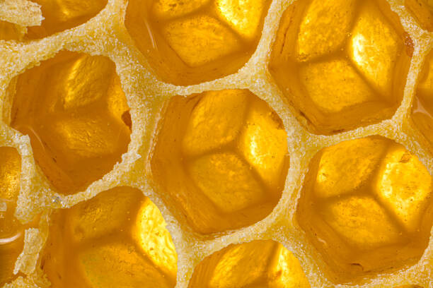 Bilde på lerret Close up honeycomb
