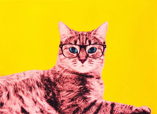 Samolepka Life in technicolor, 2017,