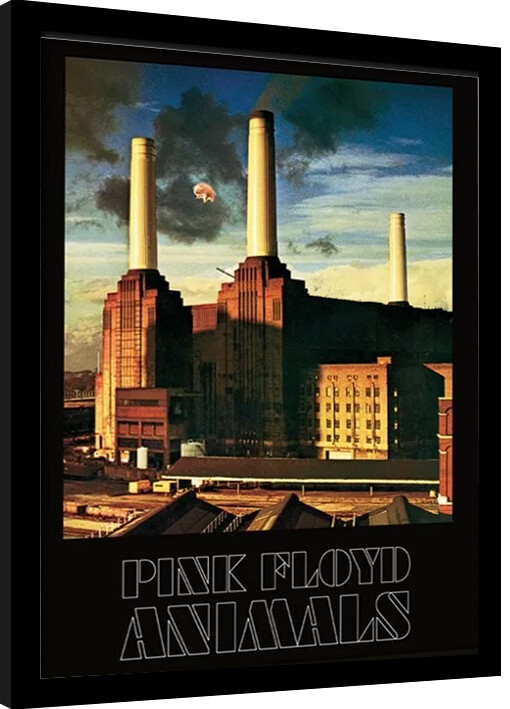 Poster incorniciato Pink Floyd - Animals