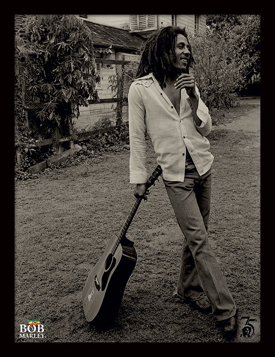 perdonar Post impresionismo local Bob Marley - Vintage Poster enmarcado | Posters.es