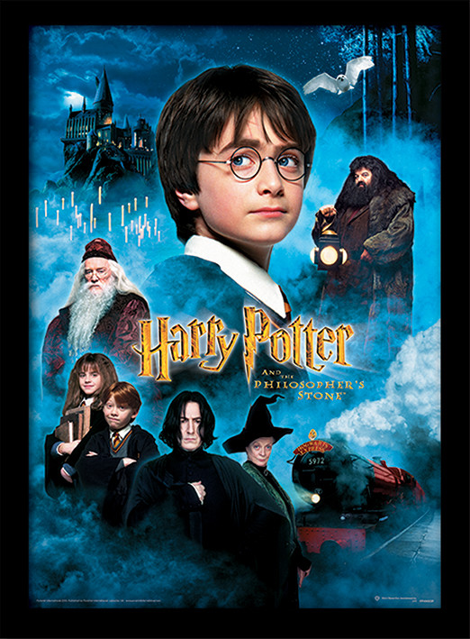 Harry Potter - Philosophers Stone Poster enmarcado