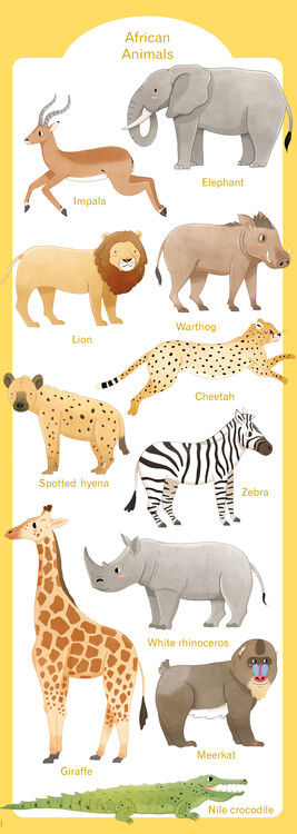 Plakát African Animals