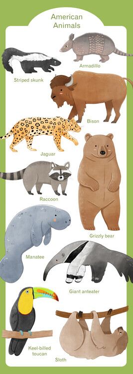 Poster American Animals