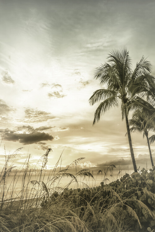 Umetniška fotografija BONITA BEACH Bright Vintage Sunset