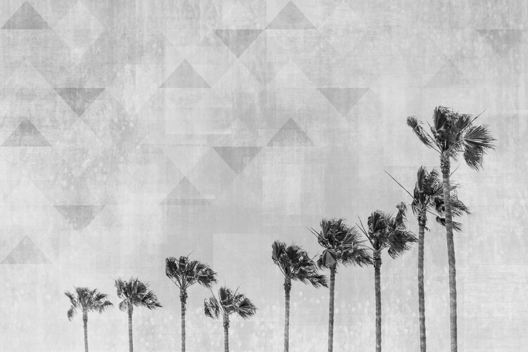 California Vibes In Black & White Poster Mural XXL
