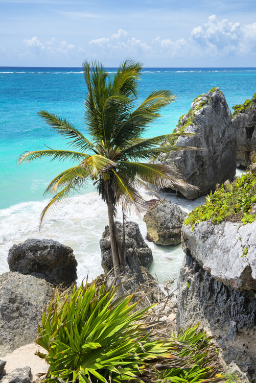 Umelecká fotografie Caribbean Coastline