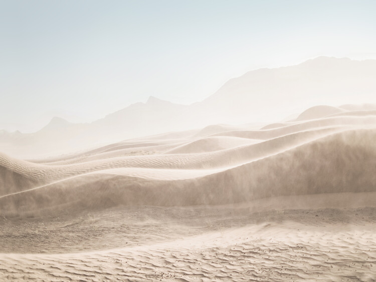 Umetniška fotografija Desert Landscape