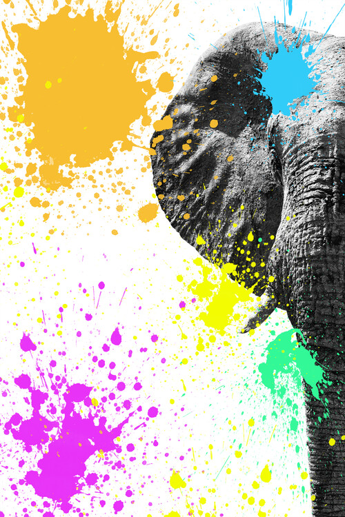 Fotografia artystyczna Elephant Portrait II