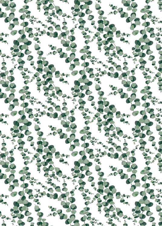 Eucalyptus pattern Fotobehang