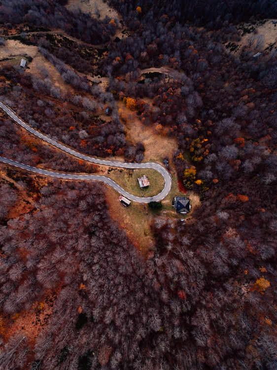 Konstfotografering Mountain road between autumn trees